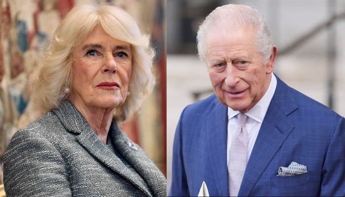 Queen Camilla blasts King Charles over Harry, Meghan stance: stop being naïve