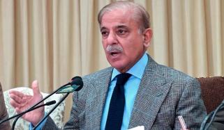 پاکستان نے دنیا میں امن کے قیام کیلئے بھرپور کردار ادا کیا: وزیرِ اعظم شہباز شریف