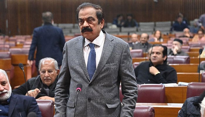 وزیر اعظم کے مشیر برائے سیاسی امور رانا ثناء اللّٰہ---فائل فوٹو