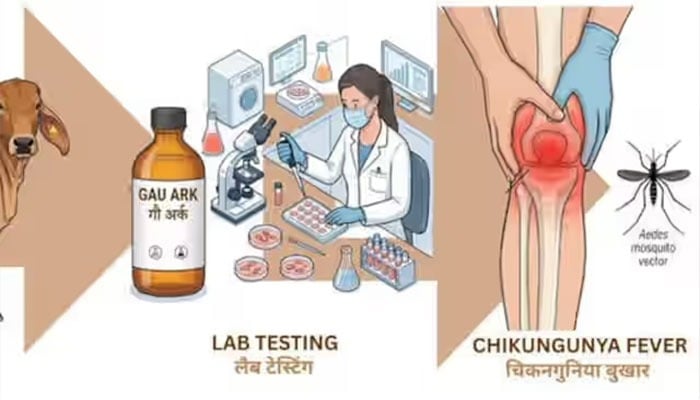 —فوٹو بشکریہ غیر ملکی میڈیا