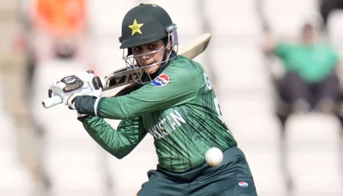 گل فیروزہ : فوٹو اے ایف پی