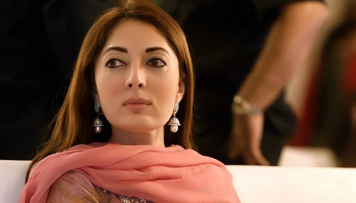 شرمیلا فاروقی— فائل فوٹو