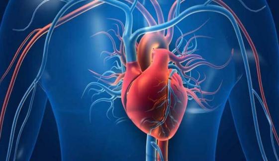 دل کا خیال کیسے رکھیں؟ ماہرین نے بتا دیا