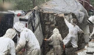 امریکا: چھتے لے جانیوالا ٹرک الٹنے سے 20 لاکھ شہد کی مکھیاں فرار
