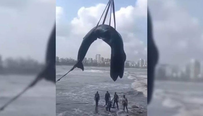 فوٹو بشکریہ غیر ملکی میڈیا