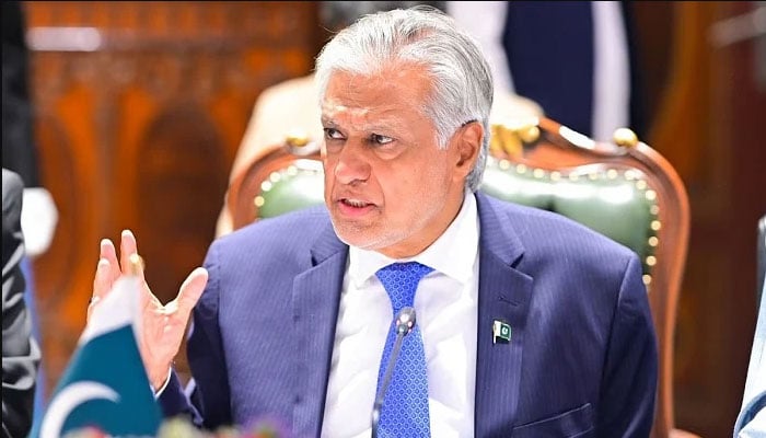 بھارت جنگ کے بیج بو کر خطے کا امن خطرے میں نہ ڈالے، اسحاق ڈار