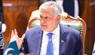 بھارت جنگ کے بیج بو کر خطے کا امن خطرے میں نہ ڈالے، اسحاق ڈار