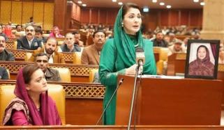 وزیراعلیٰ پنجاب نے کنٹرول آف ہیبیچوئل افینڈرز بل روک دیا، ذرائع