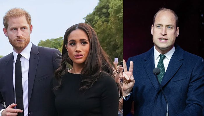Prince Harry gives Meghan Markle key advice about William just days before UK visit