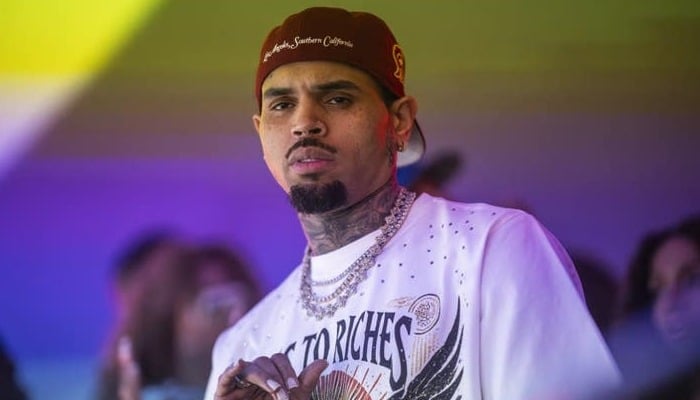 Chris Brown to pay millions in damages to housekeeper over dog attack: Details here