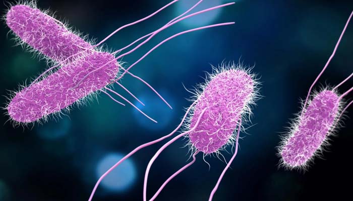 Potato chips recalled at FDA’s highest risk level over salmonella fears
