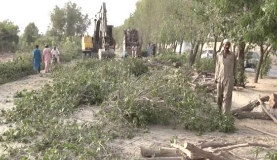 کراچی: سرجانی ٹاؤن میں عبداللّٰہ موڑ پر بڑی تعداد میں درخت کاٹ دیے گئے
