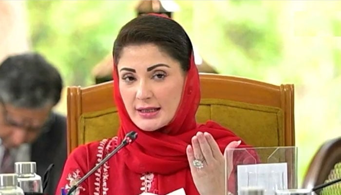 وزیرِ اعلیٰ پنجاب مریم نواز— تصویر بشکریہ سوشل میڈیا