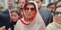 26 نومبر احتجاج کیس: علیمہ خان کی جانب سے گواہ پیش کرنے کی درخواست منظور