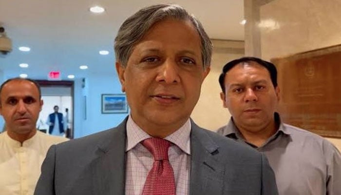 وزیرِ قانون اعظم نذیر تارڑ— فائل فوٹو