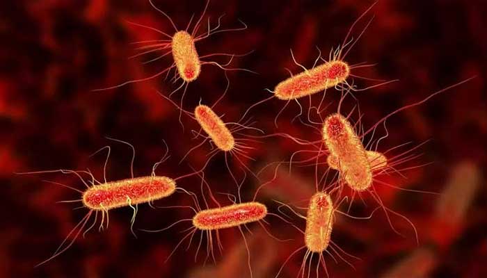 Everything to know about diarrhea-causing parasite: Spread, treatment, symptoms