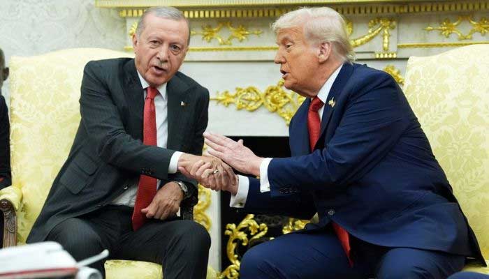 Ankara NATO summit: How Trump’s support has bolstered Erdogan’s standing