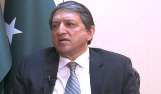 خواتین، غیر ملکی مہمانوں کا تحفظ ریاست کی ذمے داری ہے، سلیم مانڈوی والا