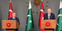 اسرائیل علاقائی سلامتی کو خطرے میں ڈالنے سے باز رہے، ترک صدر