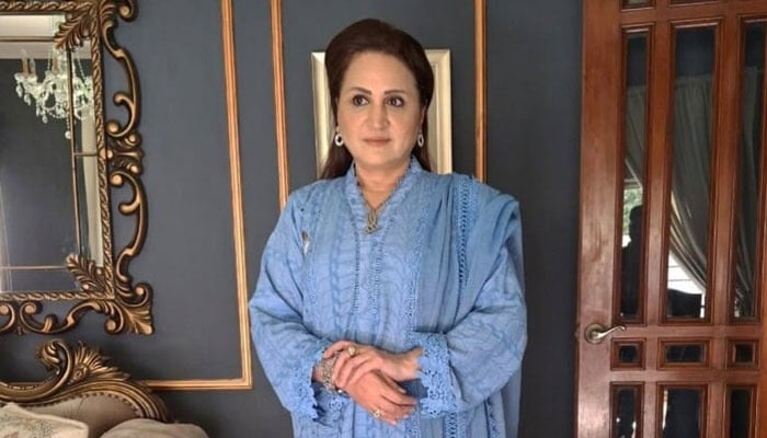 اداکارہ اسماء عباس—فائل فوٹو