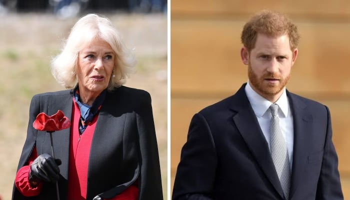 Queen Camilla shares unexpected message after Prince Harry faces crushing legal defeat