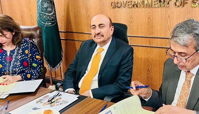 وزیرِ جامعات و تعلیمی بورڈز محمد اسماعیل راہو---فائل فوٹو