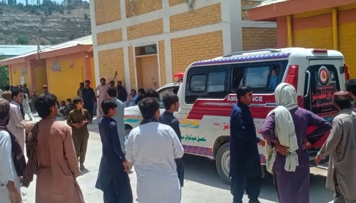 ---فوٹو بشکریہ سوشل میڈیا