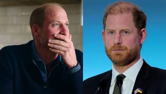 Prince William drops saddening update as Harry faces royal isolation during UK trip