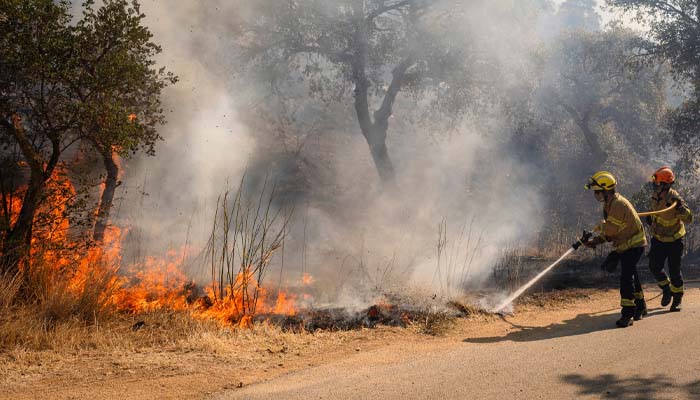 Spain terrible wildfires kill 11 as crews battle to contain blaze