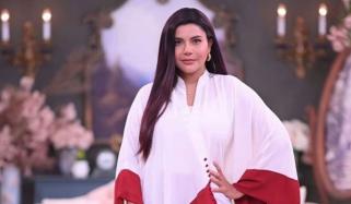 ندا یاسر لباس کی وجہ سے ایک بار پھر تنقید کی زد میں