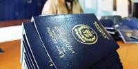  سابق اراکین اسمبلی کو بلیو پاسپورٹ دینے کا بل منظور