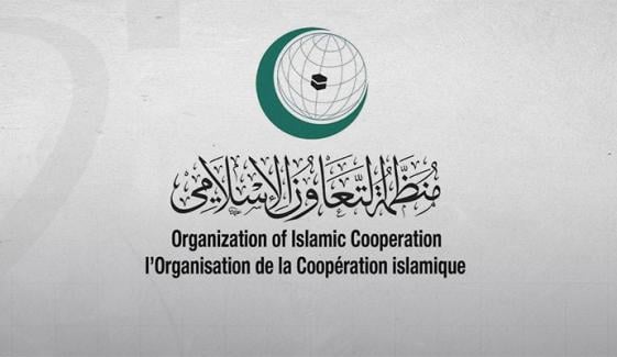 او آئی سی نے  بحری جہازوں پر ایرانی حملوں کو بین الاقوامی قانون کی خلاف ورزی قرار دے دیا