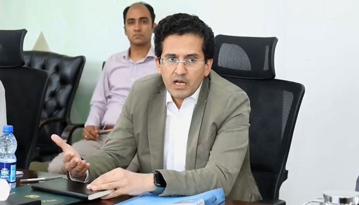 وفاقی وزیر پٹرولیم علی پرویز ملک