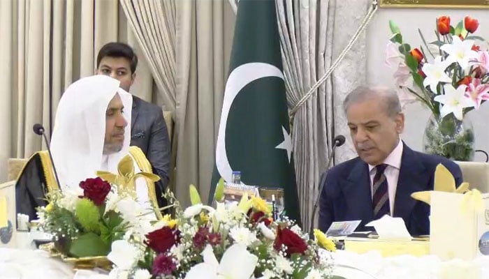 تصویر سوشل میڈیا۔