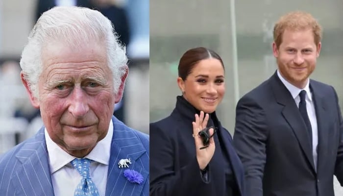 King Charles makes special appeal after Meghan, Harry secret reunion