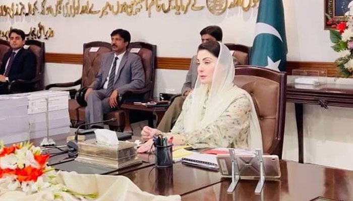 پنجاب میں ایچیسن کے معیار کے بوائز اینڈ گرلز اسکول قائم کرنے کا فیصلہ
