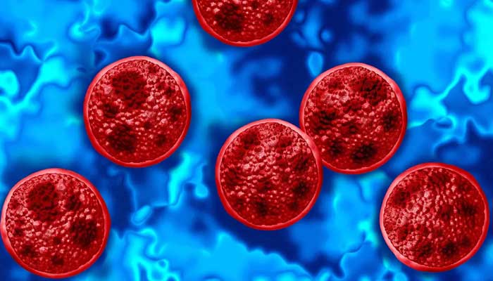 Cyclospora outbreak in US: foods under investigation and how to stay safe