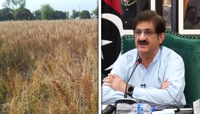 وزیرِ اعلیٰ سندھ مراد علی شاہ—فائل فوٹو