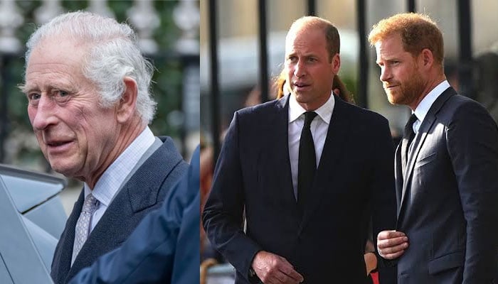 King Charles accidentally gives worrying health update as Harry, William rift intensifies