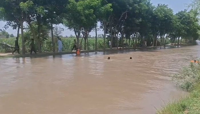 — تصویر بشکریہ غیرملکی میڈیا