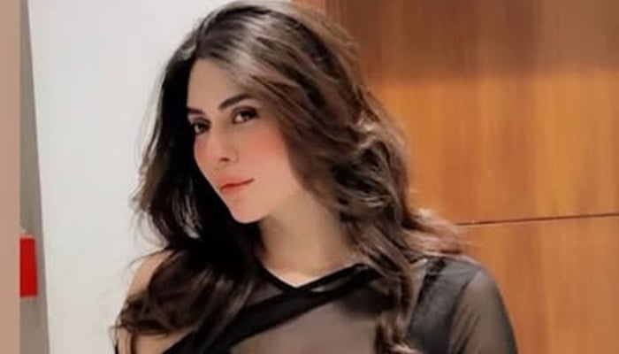 ہما سلیم---فائل فوٹو