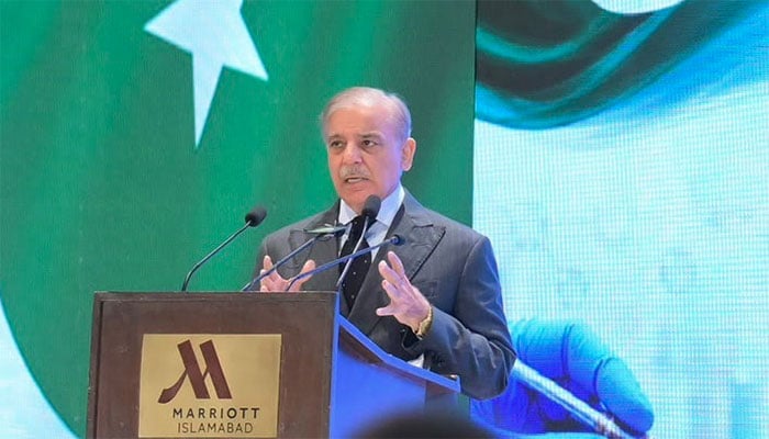 فوٹو: پی آئی ڈی
