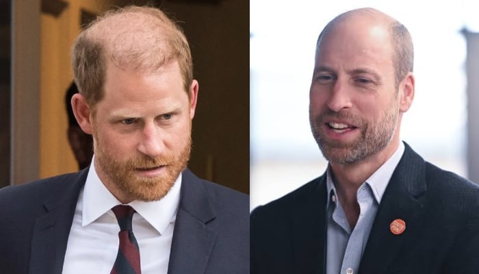 Prince Harry resonates with Williams sadness in first public appearance after King Charles meeting