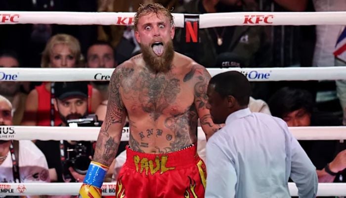 Jake Paul is now plotting an MMA transition and challenging Brock Lesnar to a future bout