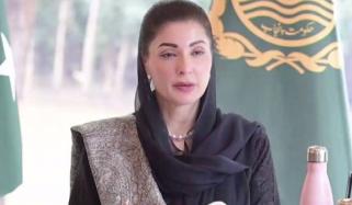 نایاب نسل کی ڈولفن کے تحفظ کے اقدامات پر وزیرِ اعلیٰ پنجاب مریم نواز کو ورلڈ وائلڈ لائف فنڈ امریکا کا خراجِ تحسین