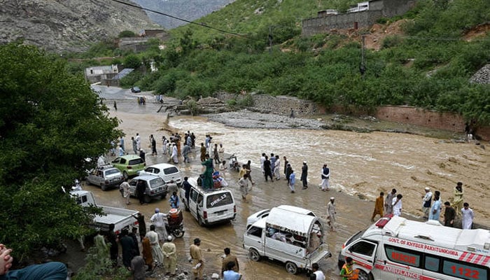تصویر سوشل میڈیا۔