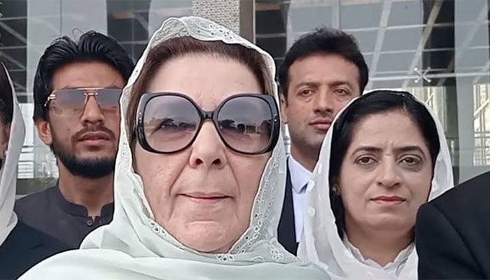 نورین نیازی : فائل فوٹو