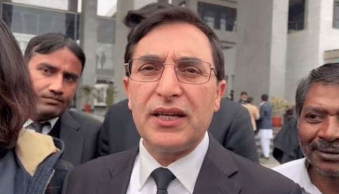 بیرسٹر گوہر - فوٹو: فائل