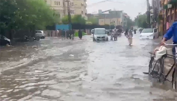 تصویر سوشل میڈیا۔