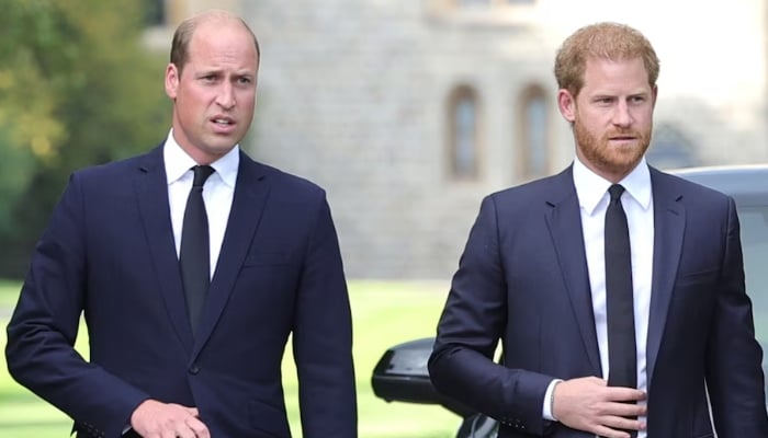 Prince Harry seeks peace with Prince William as future King puts forward key condition